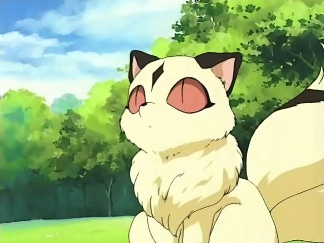 Mew!